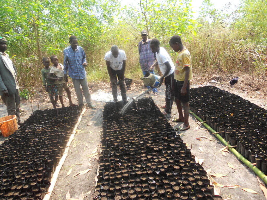 Projet de l'environnement